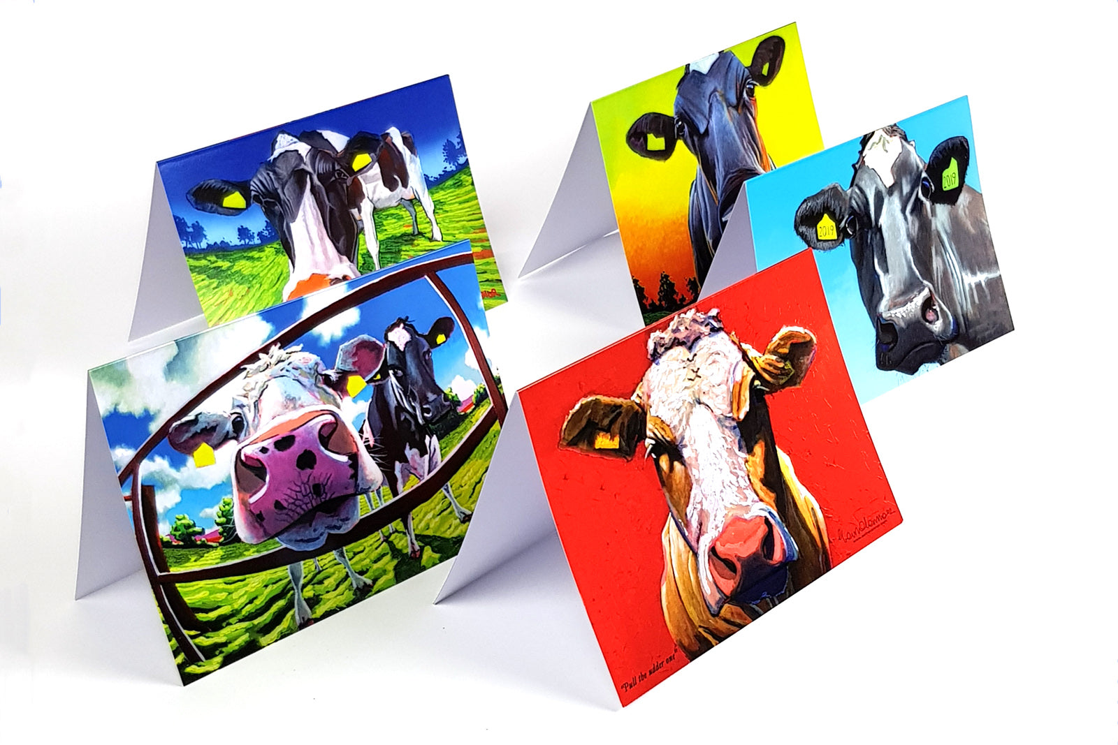 Eoin O Connor Animal Greeting Cards